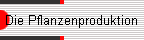Die Pflanzenproduktion